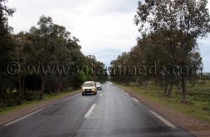 Commune de souarekh  Oum Theboul, Haddada, Mechta Meloul ... (Wilaya El Taref)