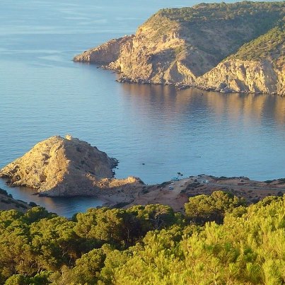 418957_422950647798911_1060561789_n