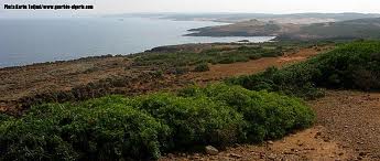 Zone humide de Guerbès à Skikda:  Un projet pétrochimique fait polémique