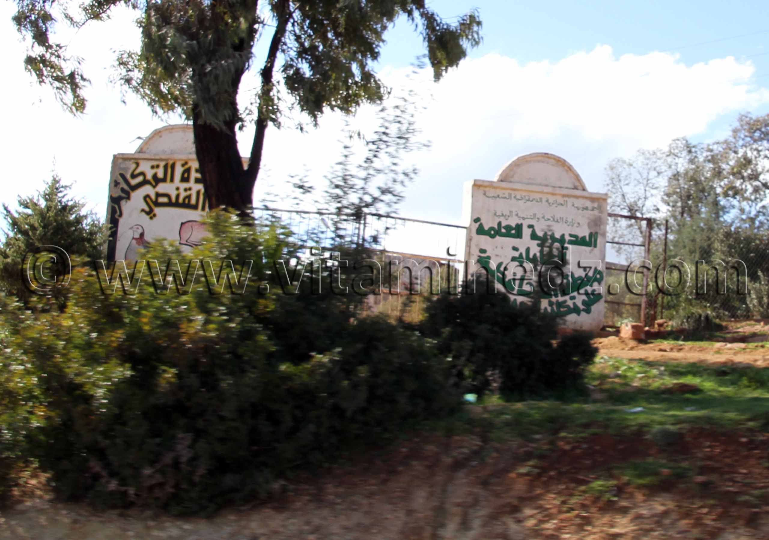 Parc National de Tlemcen, Direction des Forets, La commune d'Aïn Ghoraba