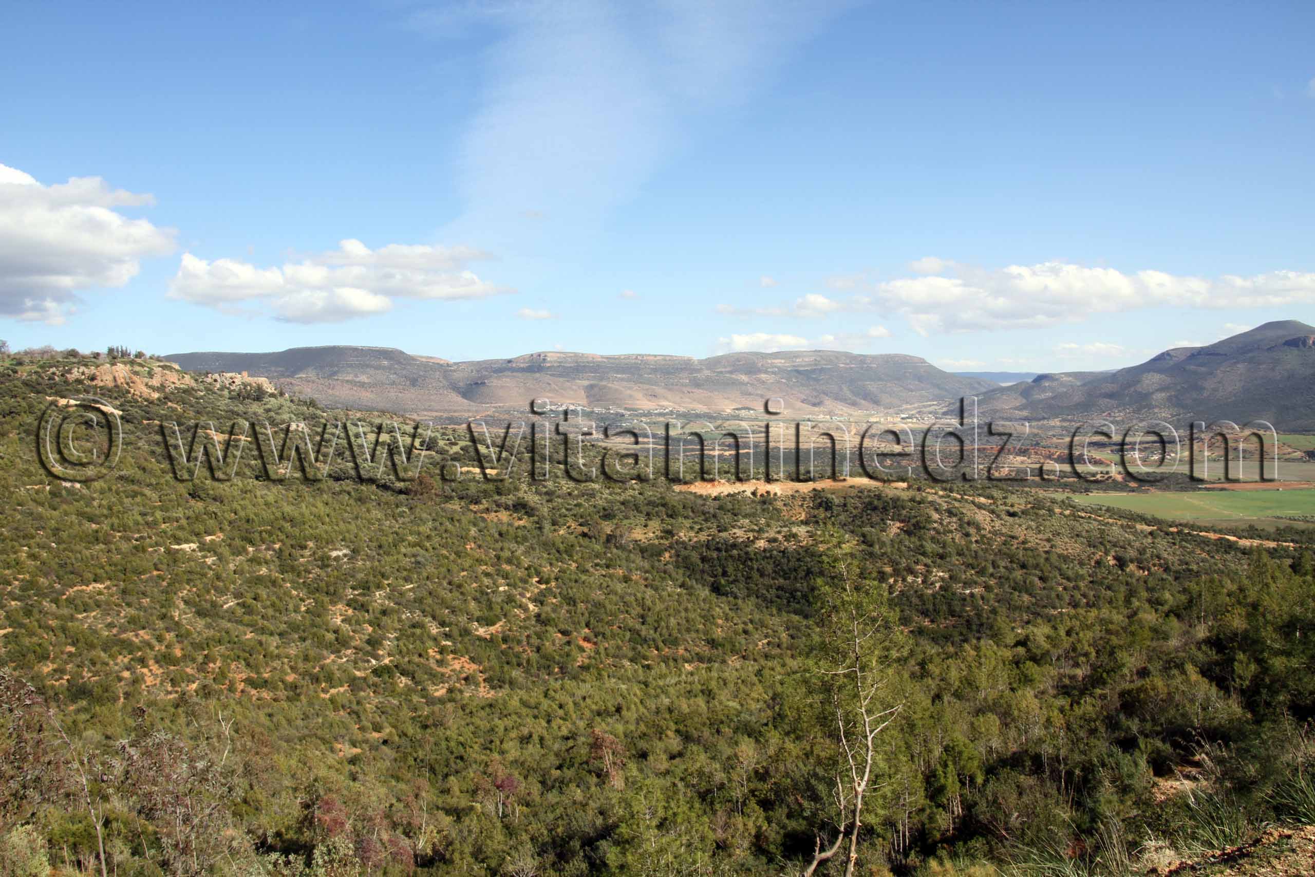 Maisons forestières de Hafir