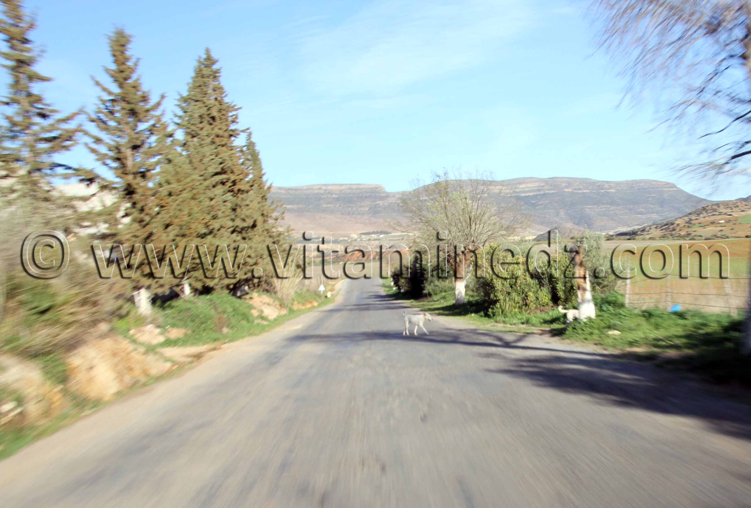 La commune d'Aïn Ghoraba et ses environs  Tirmeli, Ouled Boukhris, Bouhassoun, Hafir, Aïn Djadja, Aïn Bared, Aïn Fatouh, El Heneche, Taghezza, El Oued (Boufaïla, Chaïb, Dahmana)