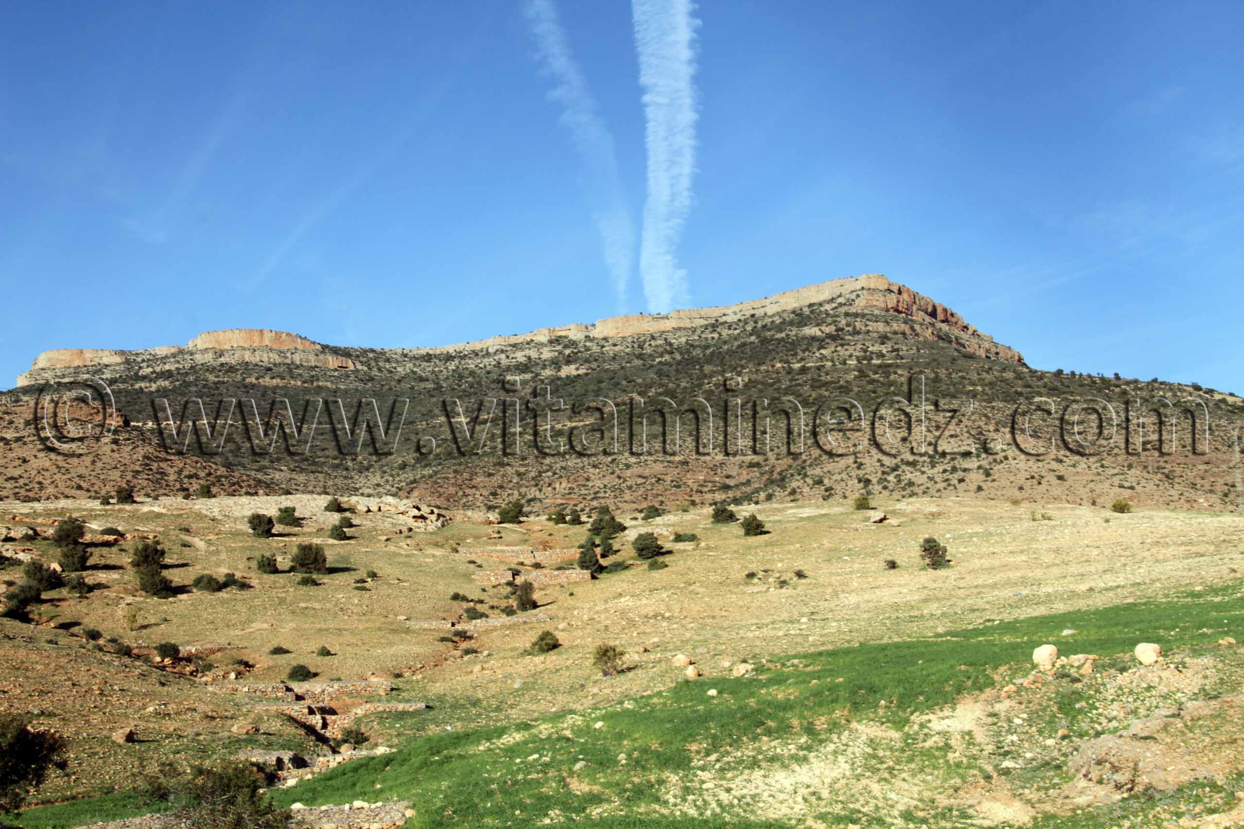 La commune d'Aïn Ghoraba et ses environs  Tirmeli, Ouled Boukhris, Bouhassoun, Hafir, Aïn Djadja, Aïn Bared, Aïn Fatouh, El Heneche, Taghezza, El Oued (Boufaïla, Chaïb, Dahmana)