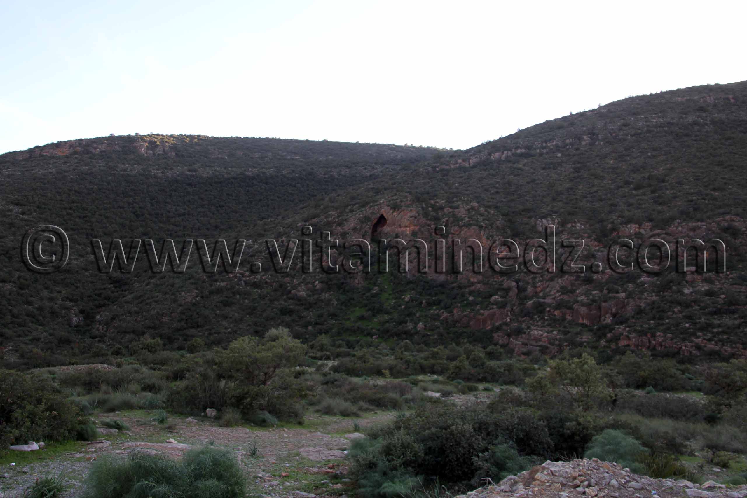 La commune d'Aïn Ghoraba et ses environs  Tirmeli, Ouled Boukhris, Bouhassoun, Hafir, Aïn Djadja, Aïn Bared, Aïn Fatouh, El Heneche, Taghezza, El Oued (Boufaïla, Chaïb, Dahmana)