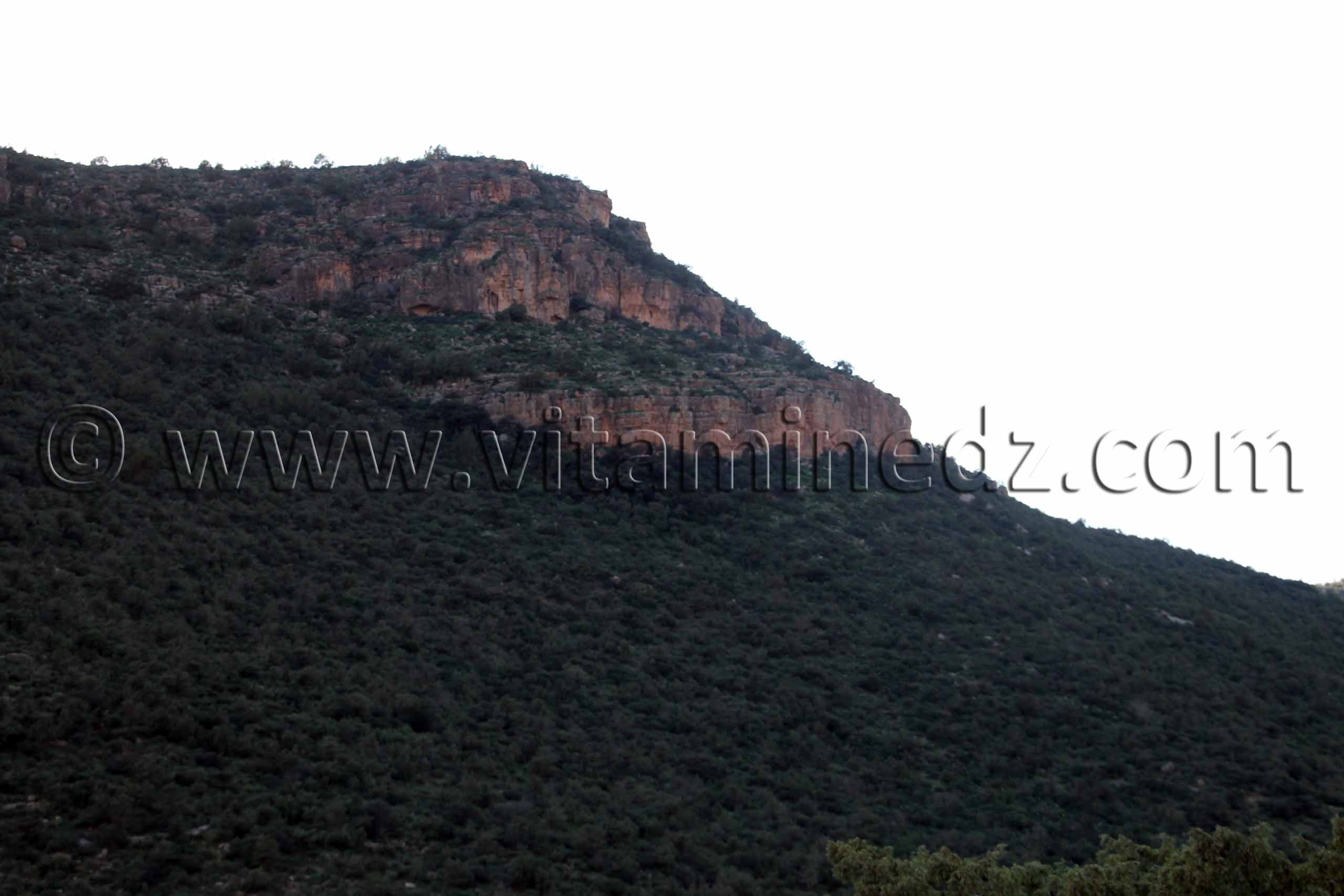 La commune d'Aïn Ghoraba et ses environs  Tirmeli, Ouled Boukhris, Bouhassoun, Hafir, Aïn Djadja, Aïn Bared, Aïn Fatouh, El Heneche, Taghezza, El Oued (Boufaïla, Chaïb, Dahmana)