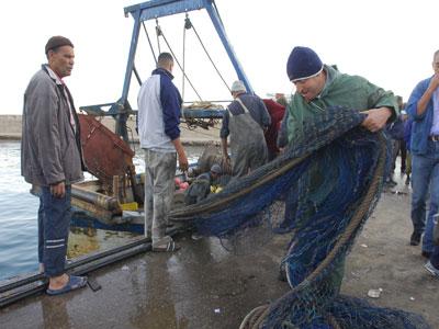 Avec une surface maritime de 8 700 km2 et un riche potentiel halieutique:  La pêche à El Tarf en quête de valorisation
