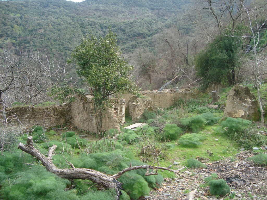 ruine de l'ancienne zawia de sidi moussa