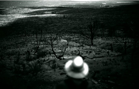 Christophe Besacier. Expert forestier au département des forêts à la FAO:  Les forêts algériennes sont parmi les plus menacées en Méditerranée