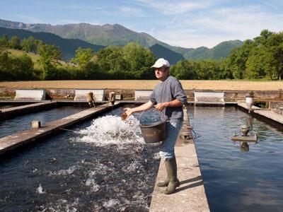 Planète - Malgré le feu vert de l’UE:  La pêche française refuse les farines animales
