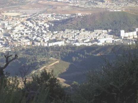 Cité Plaine Ouest de Annaba -  Les espaces verts suscitent la convoitise