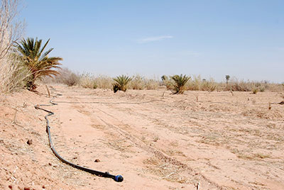 Béchar - Problématique sauvetage de la plaine d’Abadla