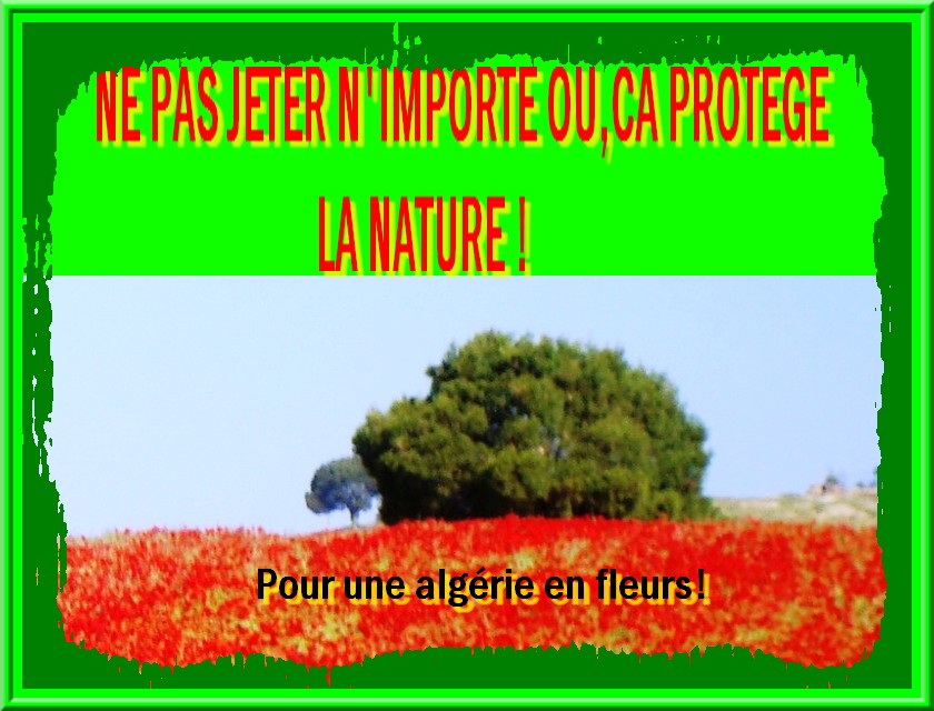 Pour une Algérie verte
