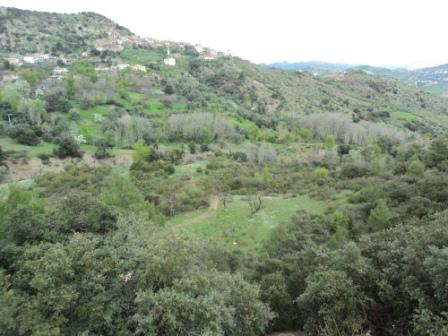 Bouzelatène au début du printemps 2013