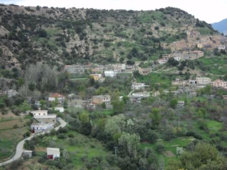 Bouzelatène au début du printemps 2013
