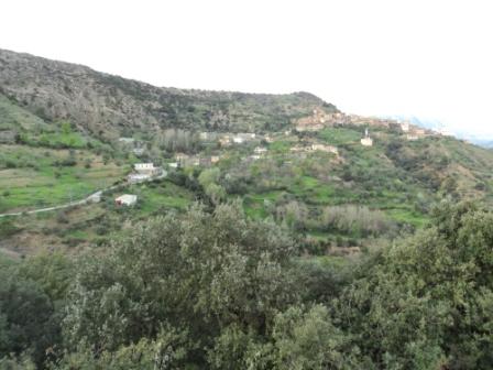 Bouzelatène au début du printemps 2013