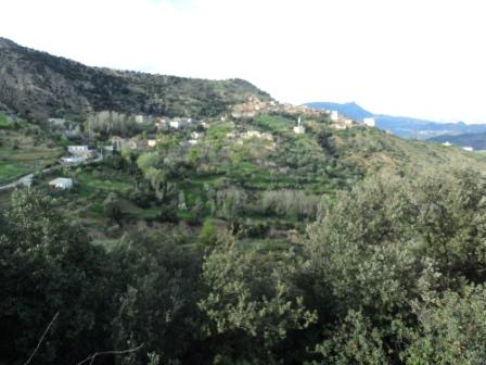 Bouzelatène au début du printemps 2013