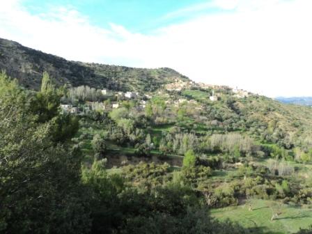 Bouzelatène au début du printemps 2013