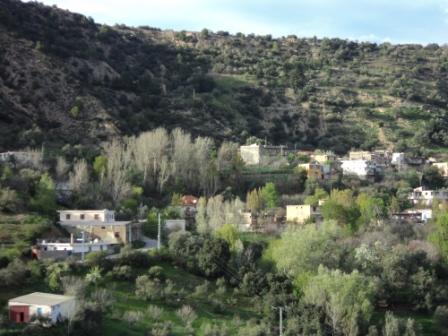 Bouzelatène au début du printemps 2013