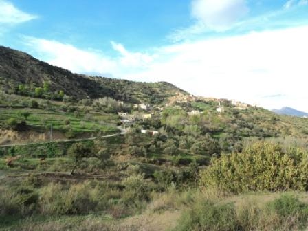 Bouzelatène au début du printemps 2013