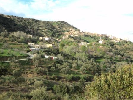 Bouzelatène au début du printemps 2013