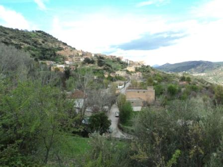 Bouzelatène au début du printemps 2013