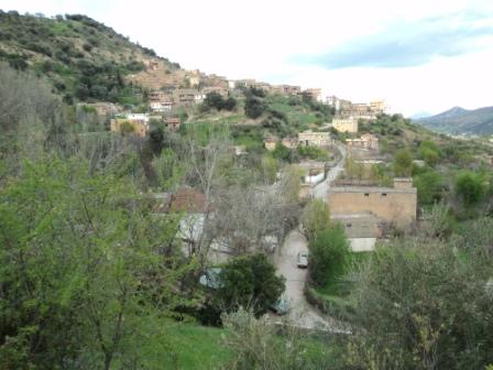 Bouzelatène au début du printemps 2013