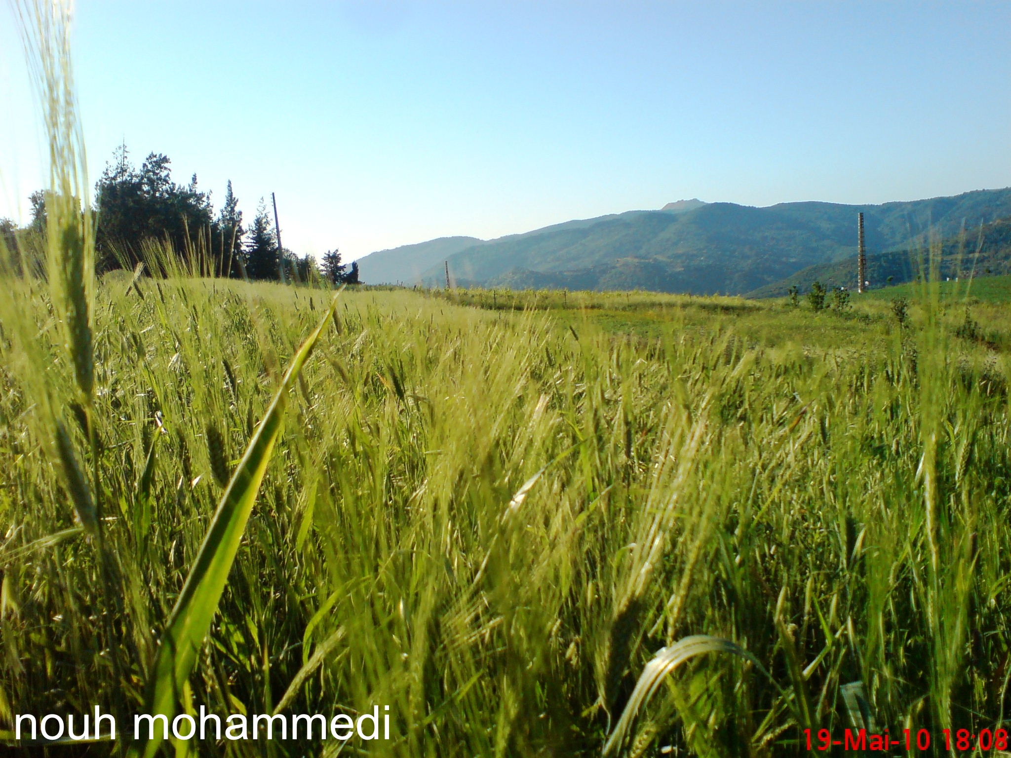 سيدي سميان جنة فردوس تيبازة المنسي