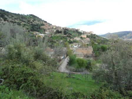 Bouzelatène au début du printemps 2013