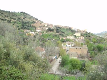 Bouzelatène au début du printemps 2013