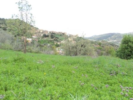 Bouzelatène au début du printemps 2013