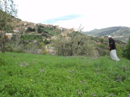 Bouzelatène au début du printemps 2013