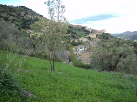 Bouzelatène au début du printemps 2013