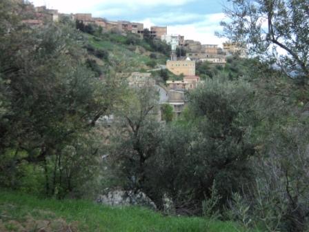 Bouzelatène au début du printemps 2013