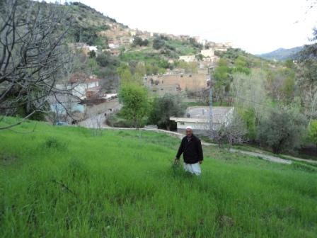 Bouzelatène au début du printemps 2013