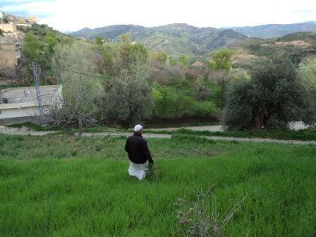 Bouzelatène au début du printemps 2013