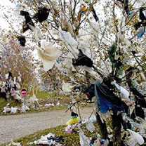 Algerie -  Sachet noir: Il 