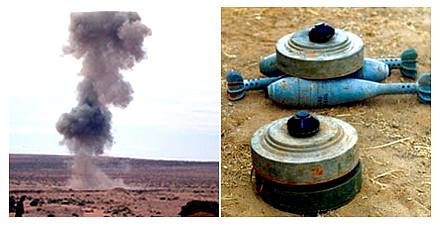 Plus de 3 millions de mines de l'époque coloniale toujours disséminées aux frontières de l'Algérie