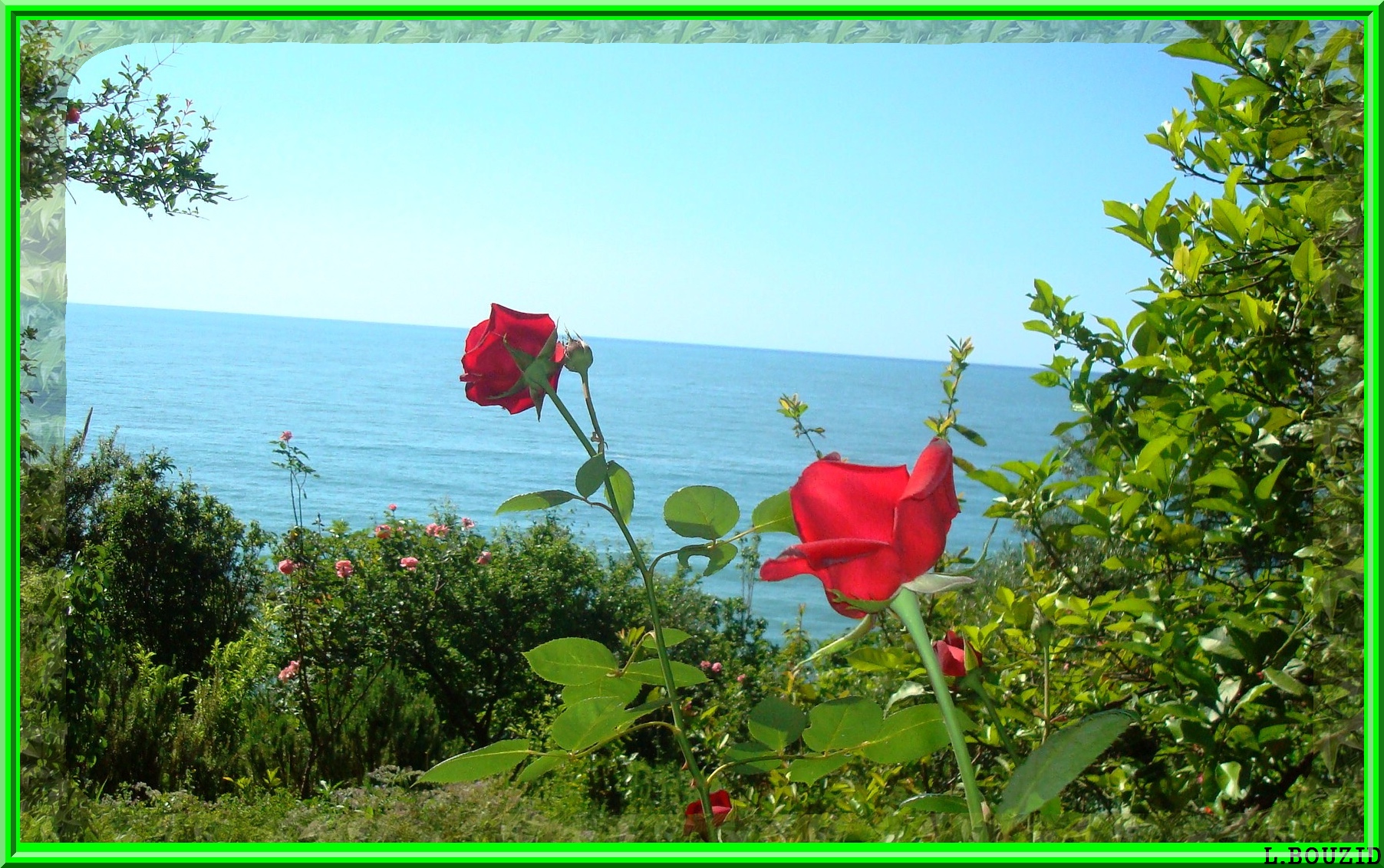 Jardin en fleurs à Ziama