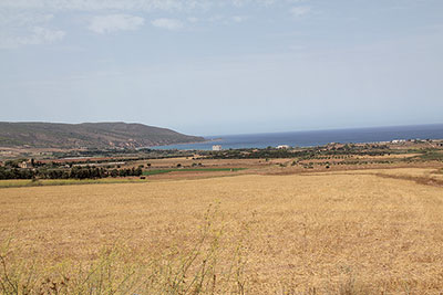 Mostaganem - Agriculture: Cap sur la mise en valeur des terres
