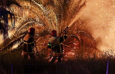 Tamanrasset  -  170 palmiers dattiers ravagés par le feu à Silet