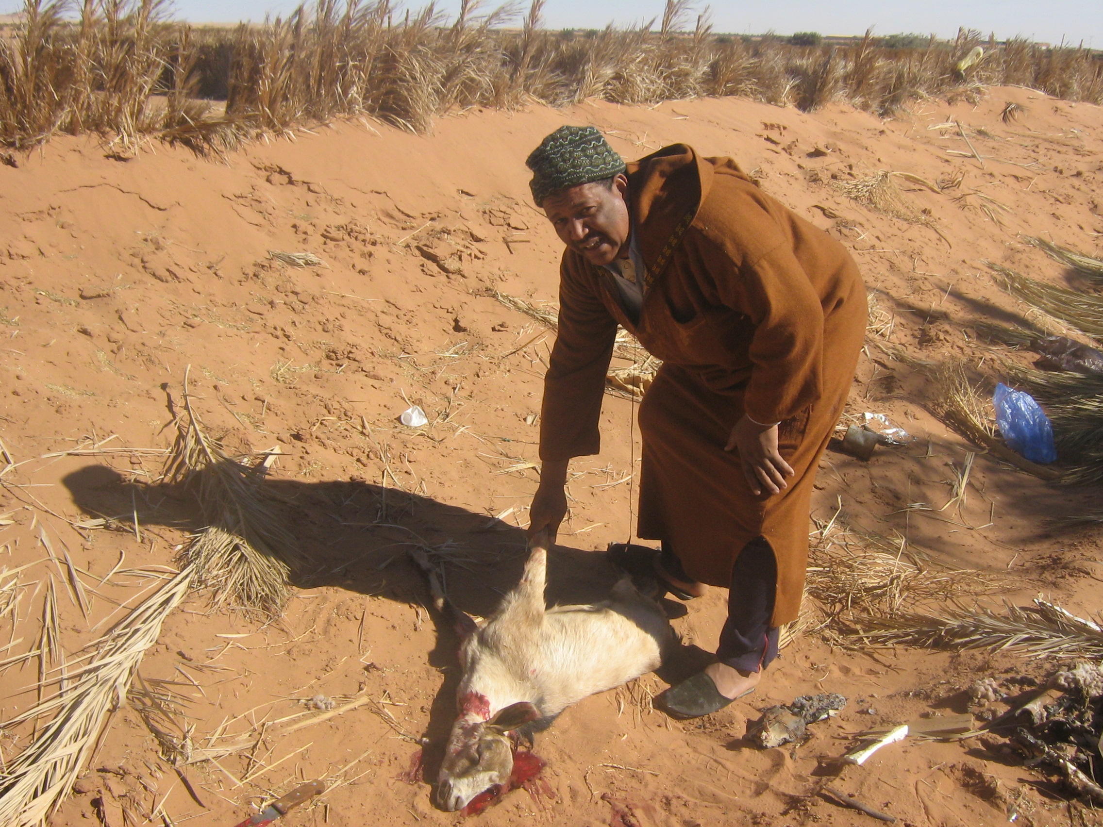in salah wilayat tamanrasset