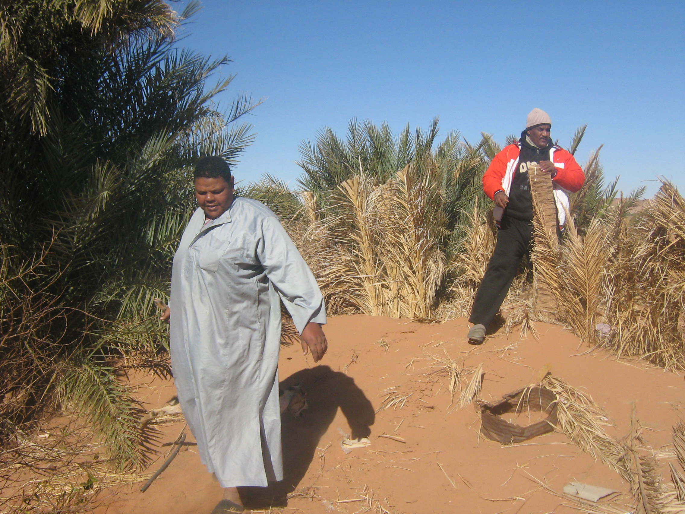 in salah wilayat tamanrasset