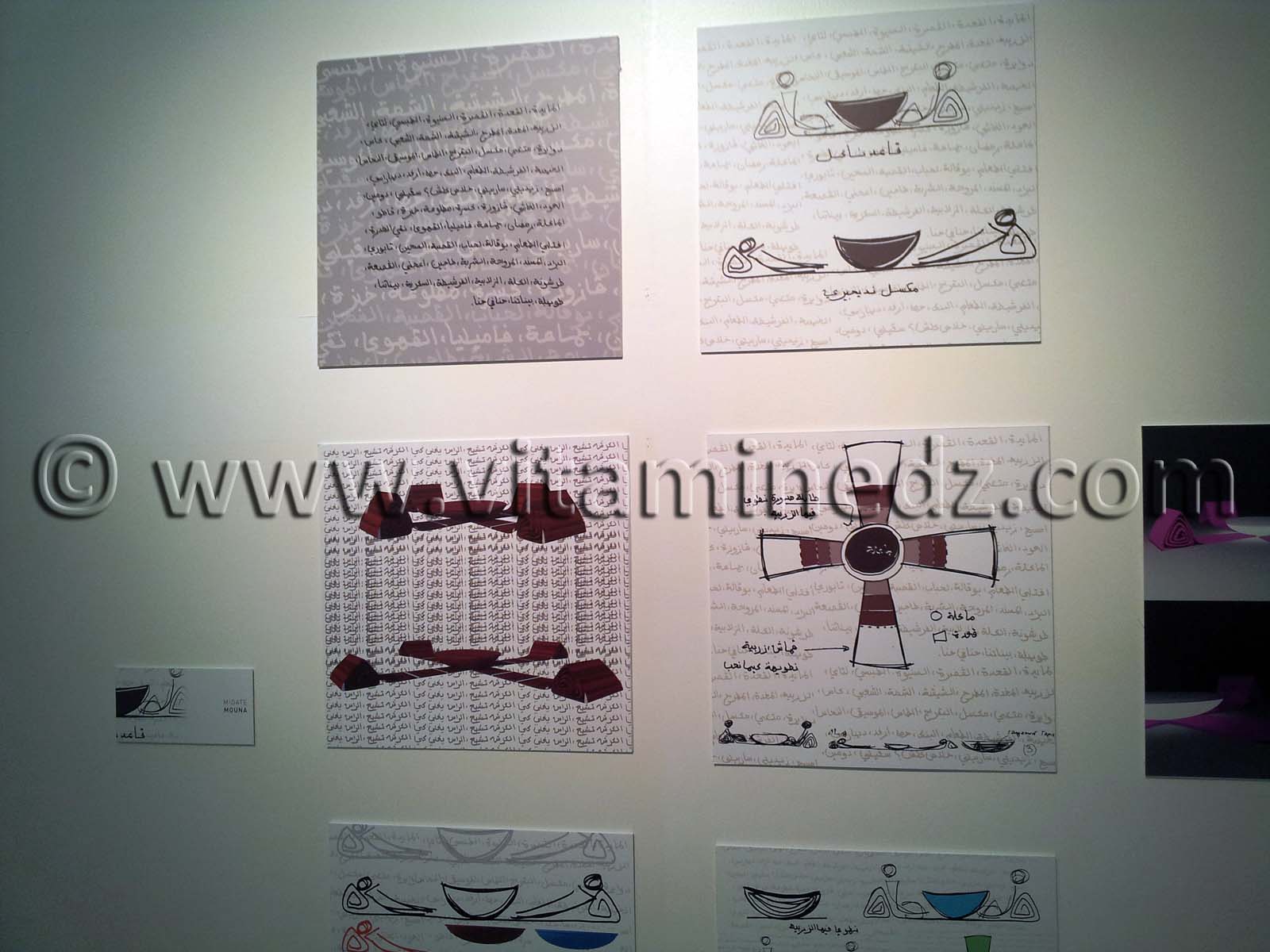 l'exposition EL MEIDA organisée du 07 Mars au 05 Avril 2013 au Musée d'Art et d'histoire de Tlemcen. Karim Sergoua est commissaire de cette exposition sur le dessin de design autour d'un même objet El MEIDA.