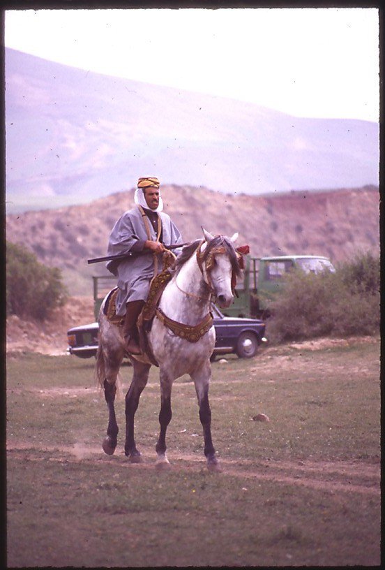Cavalier à Une waada à Tlemcen dans les années 80