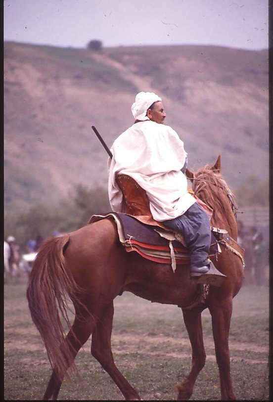 Cavalier à Une waada à Tlemcen dans les années 80