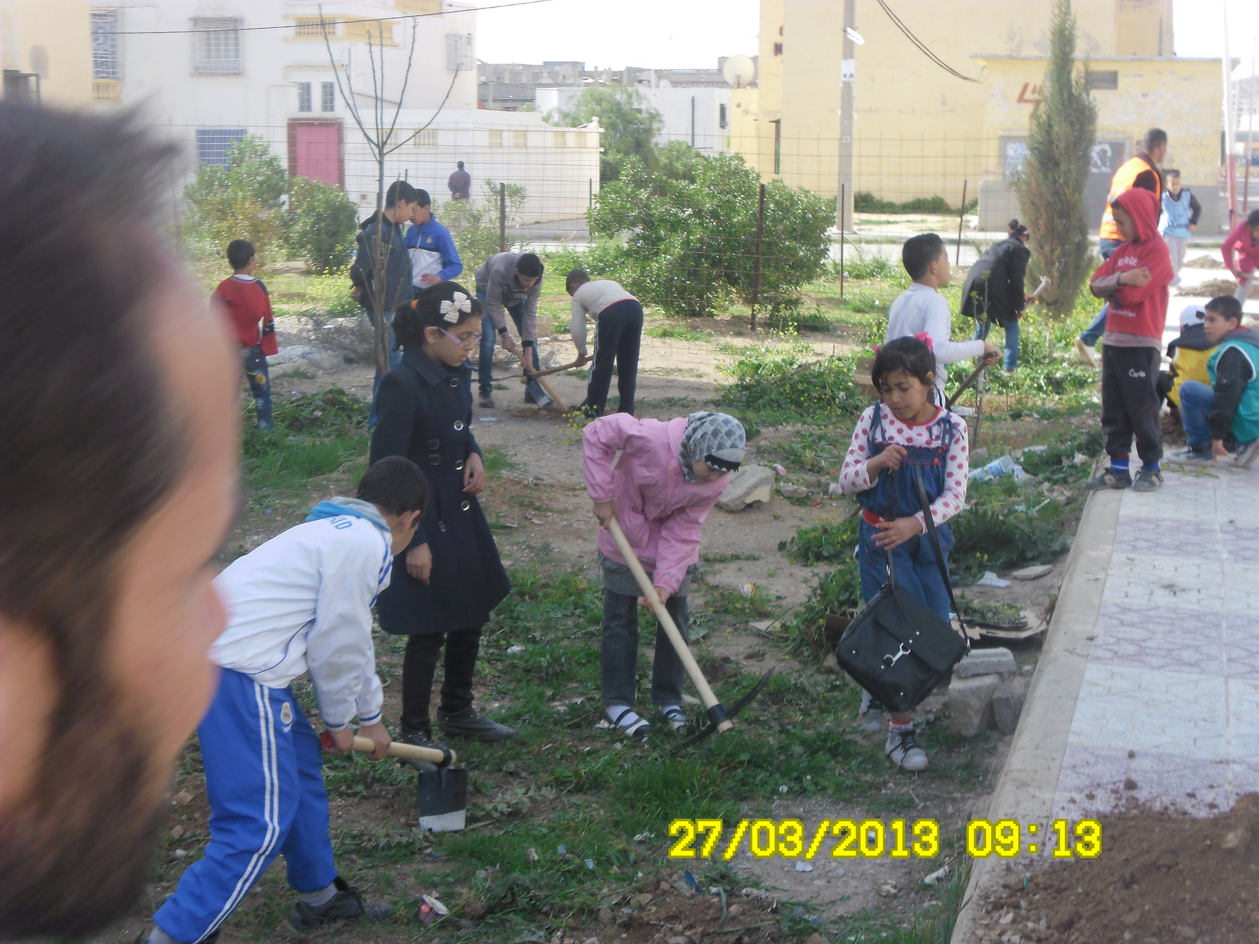 Alfassil à Ain M'lila; Journée de plantation le 27.Mars 2013