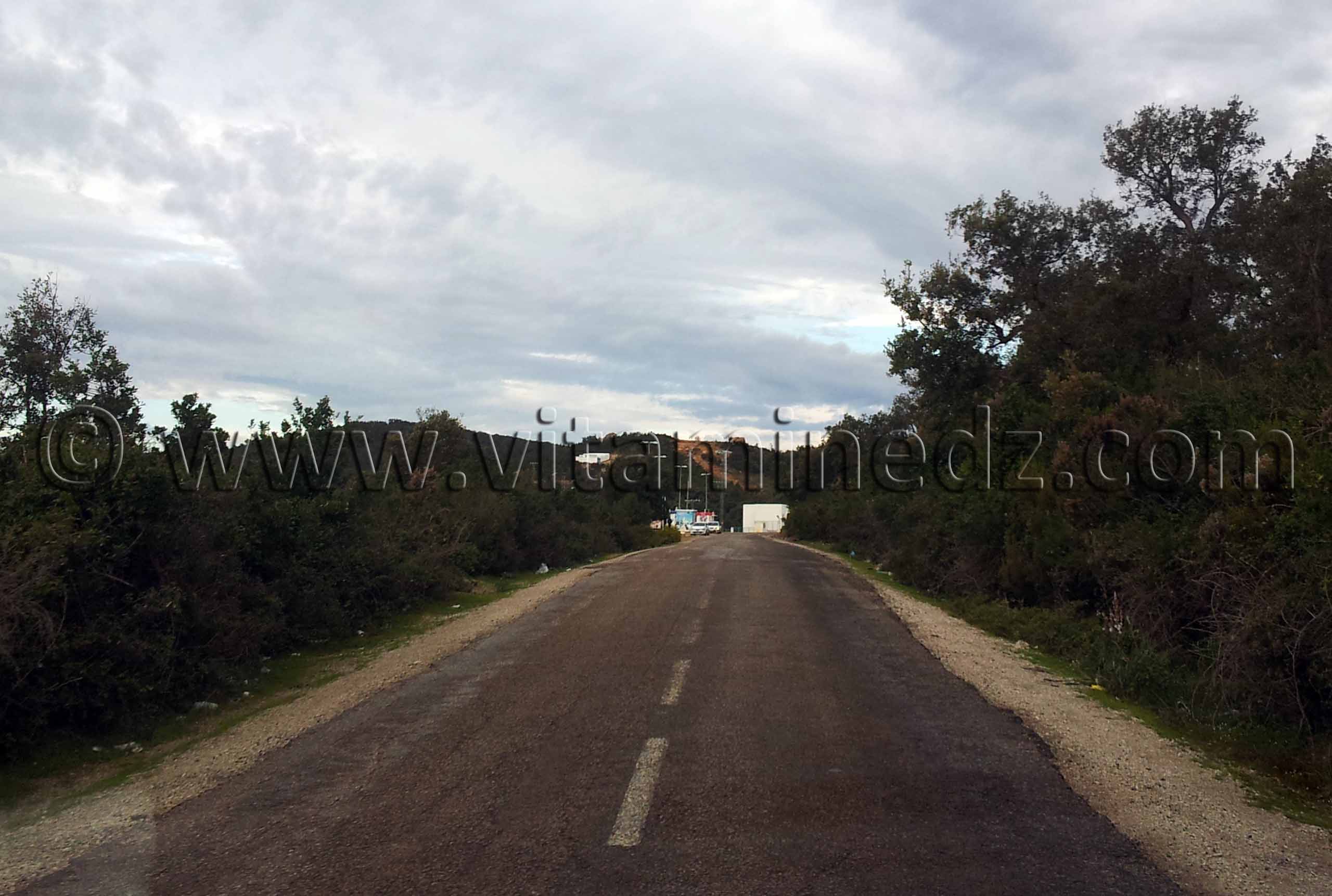 Frontières algéro-tunisiennes (Wilaya El Taref)