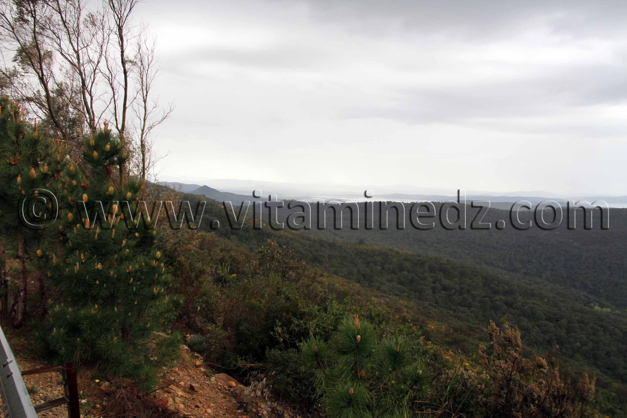 El Kala vue des Frontières algéro-tunisiennes