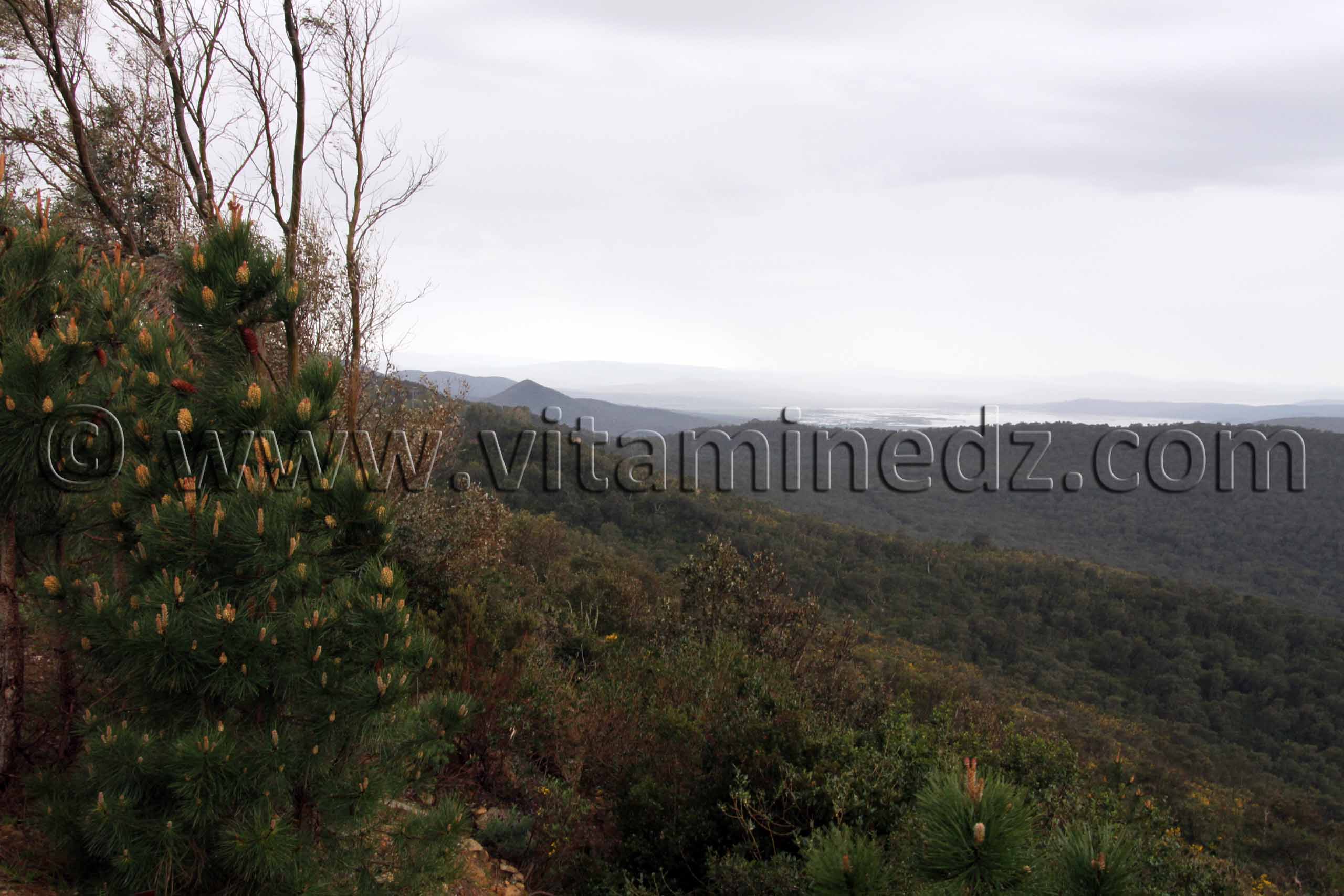 De Djbel Addeda  Frontières algéro-tunisiennes