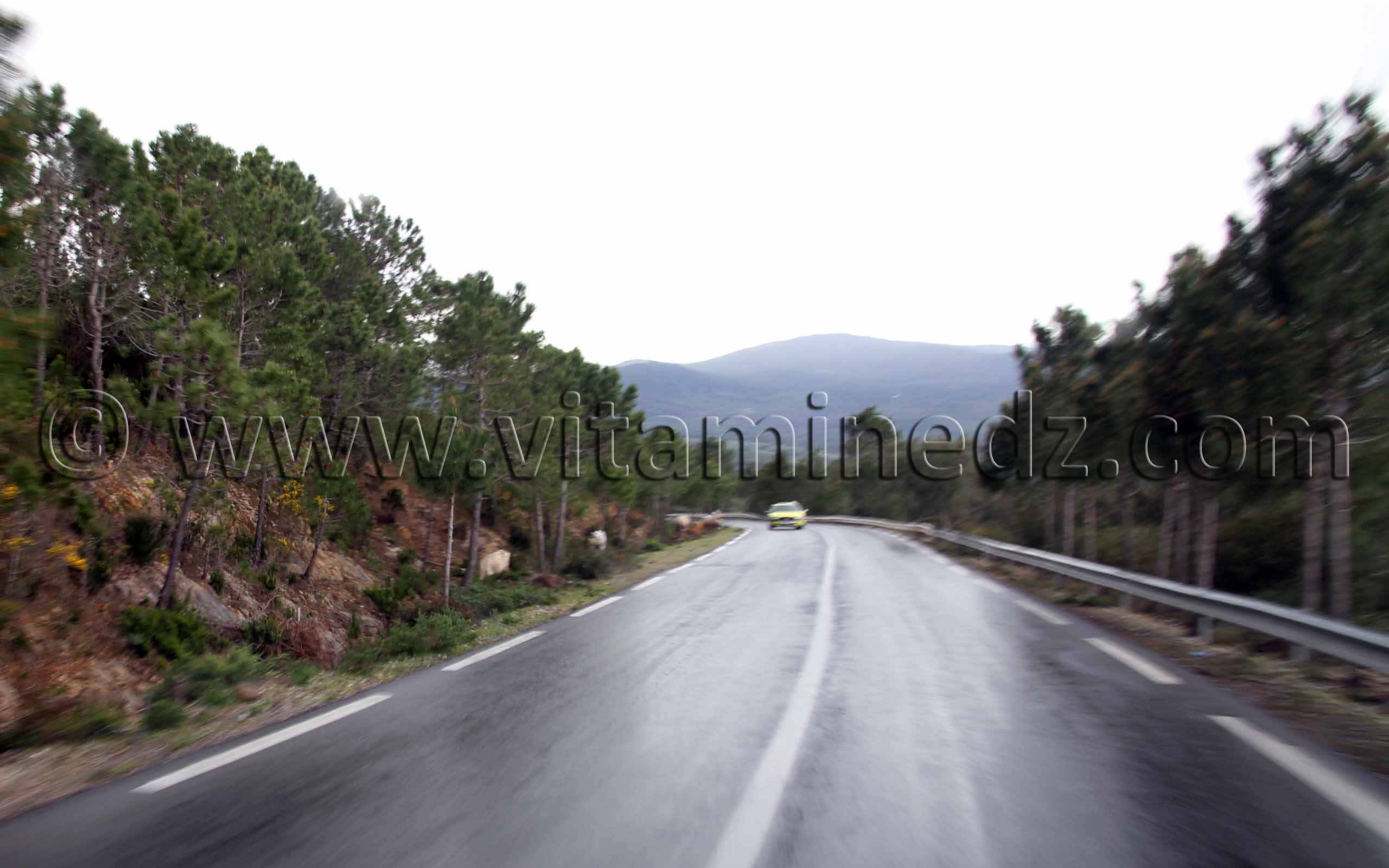 Route des Frontières algéro-tunisiennes